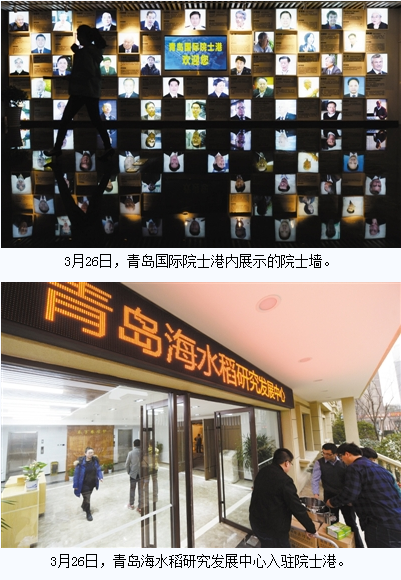 青岛国际院士港 为院士创业服务